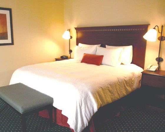 Quality Inn & Suites Bel Air I-95 Exit 77A Room photo